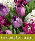Grower's Choice by Proflowers Discounts