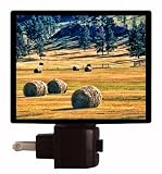 South Dakota Countryside Night Light - Hay Bales LED NIGHT LIGHT