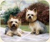Yorkies on Porch Mouse Pad