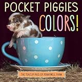 Pocket Piggies Colours!: Featuring the Teacup Pigs of Pennywell Farm
