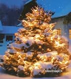 80 LED Lichterkette kupfer