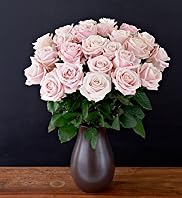Autograph Sweet Avalanche+ Roses - Two Dozen