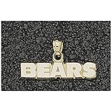 LogoArt Chicago Bears 10K Gold Team Name Pendant