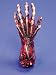 Skinned left Hand - Halloween Prop
