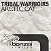 Arctic Cat