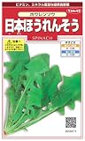 日本ほうれんそう　1袋（約800粒）