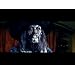 Product Video: Pirates of the Caribbean: The Curse of the Black Pearl-Trailer