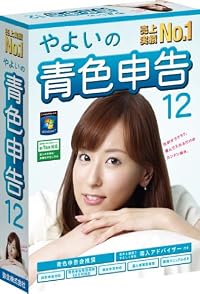 やよいの青色申告 12