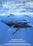 Whales and dolphins