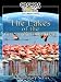 Cosmos Global Documentaries THE LAKES OF THE GREAT RIFT VALLEY Cosmos Global Documentaries THE LAKES OF THE GREAT RIFT VALLEY