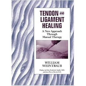 Tendons Ligaments