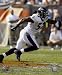 Ray Lewis Baltimore Ravens 8x10 Photo (White Jersey)