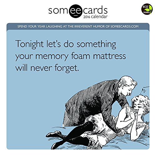 2016 Someecards Wall Calendar