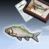 本七宝魚タイニーピンクレクション淡水魚ヘラブナ ヘラブナ
