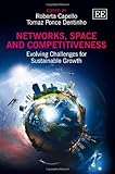 Networks, space and competitiveness : evolving challenges for sustainable growth