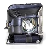 Liberty Brand Replacement Lamp for INFOCUS SP-LAMP-003 including generic housing and brand new Philips lamp