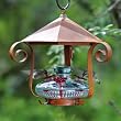 Parasol BLOOMSHCL Bloom Shelter Hummingbird Feeder Clear