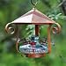 Parasol BLOOMSHAQ Bloom Shelter Hummingbird Feeder Aqua