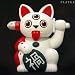 PLAYGE PRESENTS MISFORTUNE CAT 'ORIGINAL' （Designed by FERG）_s-1