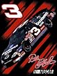 Dale Earnhardt Pole Position Raschel Blanket Throw - NASCAR Fan Shop Sports Team Merchandise