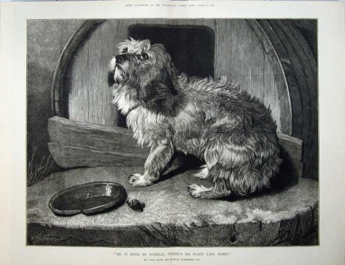 1874 Edwin Landseer Fine Art Scruffy Puppy Dog Kennel