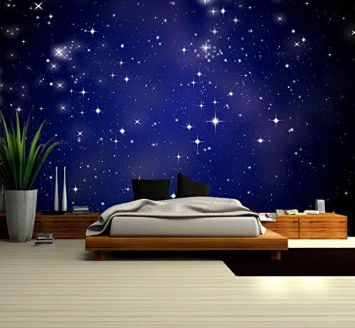 Wall Mural Wall Decor, Starry Sky Night Series