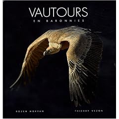 Vautours en Baronnies