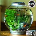 biOrb 30 lt tropical with Halogen light