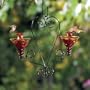 Parasol VIC2GLFR VICTORIA Mini-Blossom Double Chandelier Blown Glass Hummingbird Feeder - Flame Red GLORIA