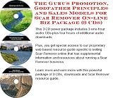 The Guru's Promotion, Godfather Principles and Sales Models for Scar Remover On-line Biz Package (3 CDs)