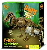 Geoworld 23210285 - T-Rex Kit