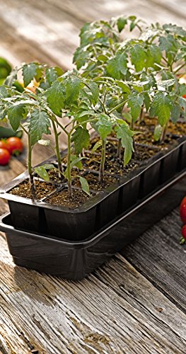 GrowEase Self Watering Seed Starter Kit, 12 Cells