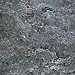 Metroflor Versatal Shale - Slate Mount McKinley Vinyl Flooring
