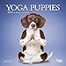 Yoga Puppies 2016 Calendar