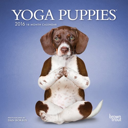 Yoga Puppies 2016 Mini 7x7