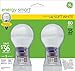 GE 74725 15-Watt Energy-Smart Covered Glass CFL Light Bulbs, 60-Watt Equivalent, 2-Pack