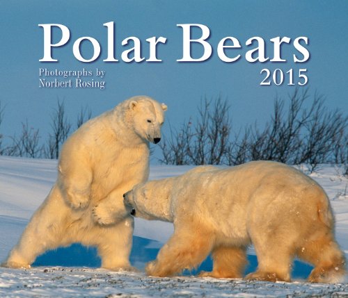 polar bears 2015
