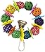 Super Bird Creations Daisy Ring Toy for Birds