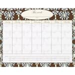 CR Gibson Heavenly Breeze Magnetic Weekly Calendar (Pack of 3)
