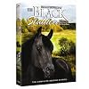The Adventures Of The Black Stallion: The Complete Second Season