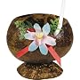 Coconut Cup with Flower and Straw