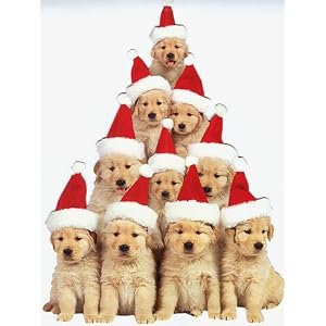 Golden Retriever Puppies Christmas Cards