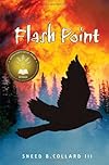Flash Point