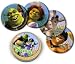 Shrek Coaster Set with Collectors Tin