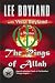 Image of The Rings of Allah (Clash-of-Civilizations Trilogy)