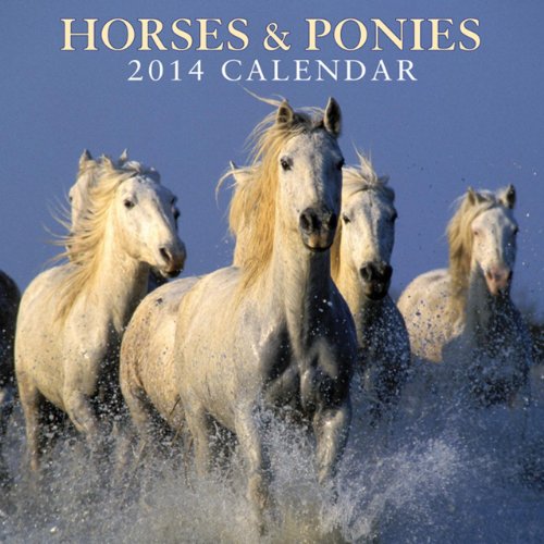 2014 Calendar: Horses & Ponies: 12-Month Calendar Featuring Delightful Photographs Of Ponies And Horses