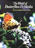 The world of butterflies & moths