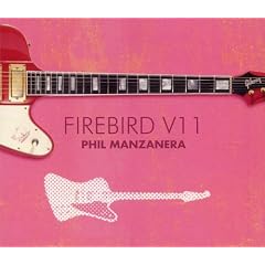 Firebird V11