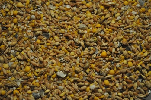 Image #3 of Naturally Free Layer