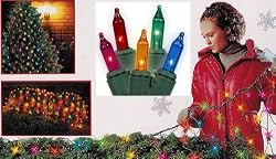 4' x 6' Multi Mini Net Style Christmas Lights - Green Wire